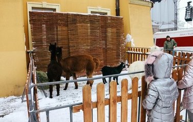 Namysłowskie Betlejem - Program NOK + stoiska - 17.12.2022 r. 23