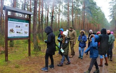 Rozwiązywanie Questu leśnego połączone z ogniskiem 17