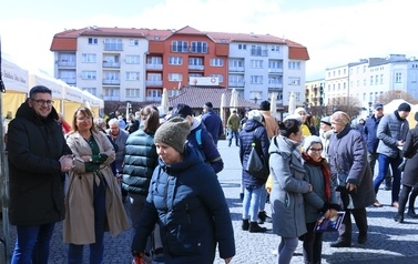 Jarmark Wielkanocny Skarby Dobrej Widawy i przyjaci&oacute;ł - 10.04.2022 r. 73