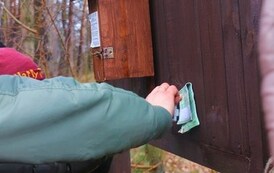 Rozwiązywanie Questu leśnego połączone z ogniskiem 9