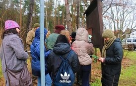 Rozwiązywanie Questu leśnego połączone z ogniskiem 11