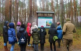 Rozwiązywanie Questu leśnego połączone z ogniskiem 13