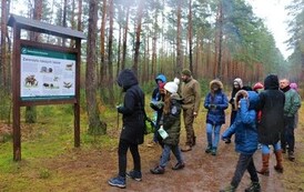 Rozwiązywanie Questu leśnego połączone z ogniskiem 17