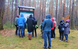 Rozwiązywanie Questu leśnego połączone z ogniskiem 20