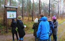 Rozwiązywanie Questu leśnego połączone z ogniskiem 25